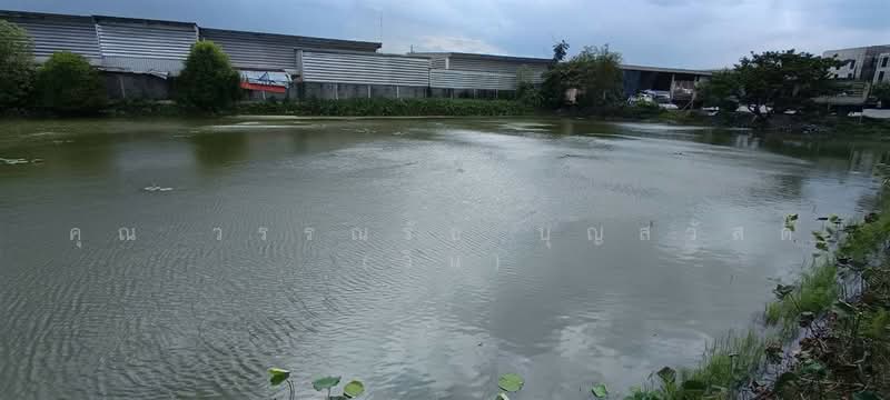 ที่ดินเปล่า 2 ไร่ 5 ตร.ว. ที่ดิน ใกล้ตลาดกิเลน อยู่ติดกับซอยศูนย์ขนส่ง4, Nonthaburi, ถนนจงถนอม, Sala Klang, Bang Kruai, Nonthaburi, , 3,220 sqm, Land For Sale, by คุณ วรรณรัช บุญสวัสดิ์ (วิน), 500476264 - DDproperty.com