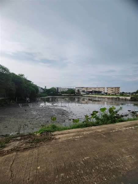 ที่ดินเปล่า 2 ไร่ 5 ตร.ว. ที่ดิน ใกล้ตลาดกิเลน อยู่ติดกับซอยศูนย์ขนส่ง4, Nonthaburi, ถนนจงถนอม, Sala Klang, Bang Kruai, Nonthaburi, , 3,220 sqm, Land For Sale, by คุณ วรรณรัช บุญสวัสดิ์ (วิน), 500476264 - DDproperty.com