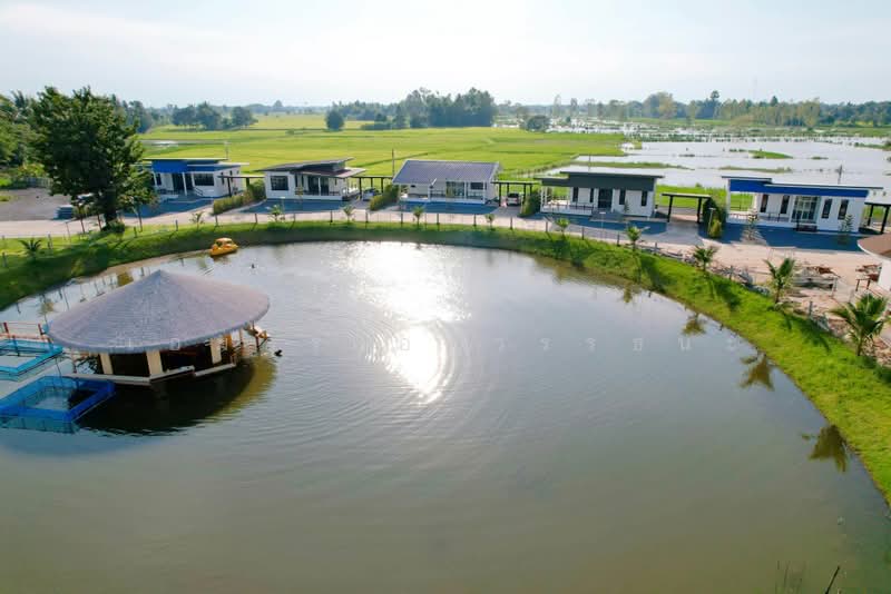 พลับพลา, Nakhon Ratchasima, Phlup Phla, Chok Chai, Nakhon Ratchasima, , 12,868 sqm, Business For Sale, by เอมอร อติวรรธนะ, 500476279 - DDproperty.com
