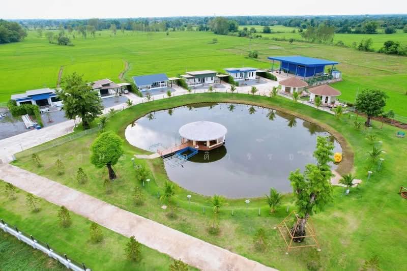 พลับพลา, Nakhon Ratchasima, Phlup Phla, Chok Chai, Nakhon Ratchasima, , 12,868 sqm, Business For Sale, by เอมอร อติวรรธนะ, 500476279 - DDproperty.com