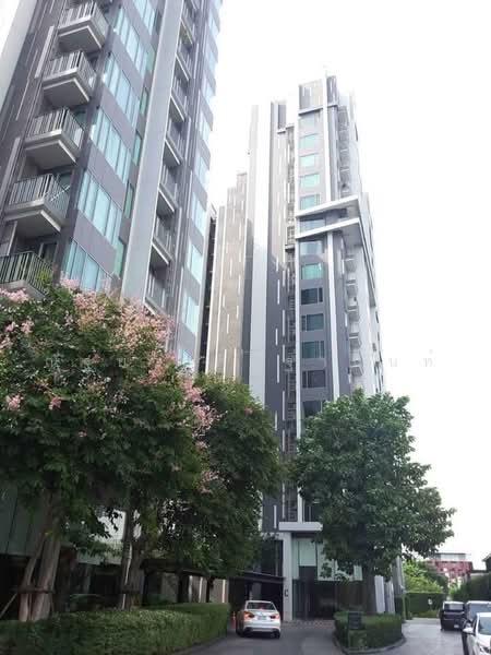 CEIL by Sansiri, Bangkok, 11 Soi Ekamai 12, Sukhumvit 63 Road, Khlong Tan Nua, Watthana, Bangkok, 1 Bedroom, 30 sqm, Condo For Sale, by ณัฐยา ศิริฐานนท์, 500476282 - DDproperty.com