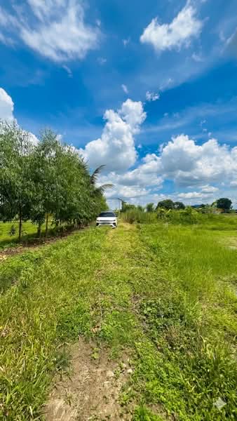 หนองบอนแดง, Chon Buri (Pattaya), Nong Bon Daeng, Ban Bung, Chon Buri (Pattaya), , 4,800 sqm, Land For Sale, by กิตติพร แสนเมือง, 500476329 - DDproperty.com