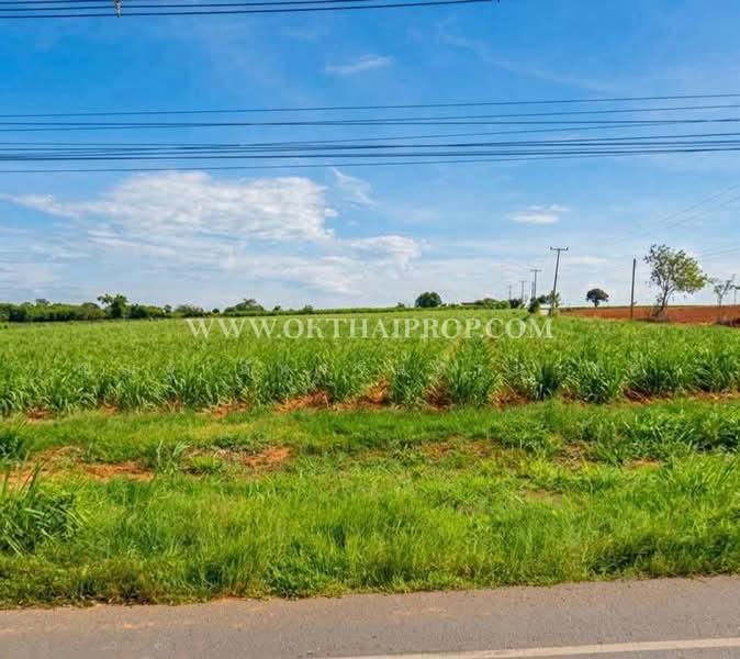 ถนนทางหลวงหมายเลข2256 ต.ห้วยบง อ.ด่านขุนทด จ.นครราชสีมา, Nakhon Ratchasima, Huai Bong, Dan Khun Thot, Nakhon Ratchasima, , 106,680 sqm, Land For Sale, by ณณัฐ ภัทรจินดานุวงศ์, 500476396 - DDproperty.com