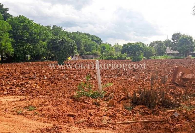 ถนนทางหลวงหมายเลข2256 ต.ห้วยบง อ.ด่านขุนทด จ.นครราชสีมา, Nakhon Ratchasima, Huai Bong, Dan Khun Thot, Nakhon Ratchasima, , 106,680 sqm, Land For Sale, by ณณัฐ ภัทรจินดานุวงศ์, 500476396 - DDproperty.com
