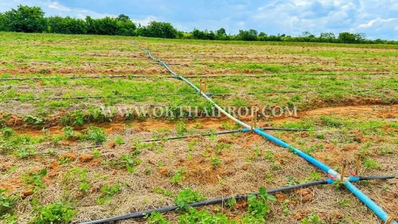ถนนทางหลวงหมายเลข2256 ต.ห้วยบง อ.ด่านขุนทด จ.นครราชสีมา, Nakhon Ratchasima, Huai Bong, Dan Khun Thot, Nakhon Ratchasima, , 106,680 sqm, Land For Sale, by ณณัฐ ภัทรจินดานุวงศ์, 500476396 - DDproperty.com