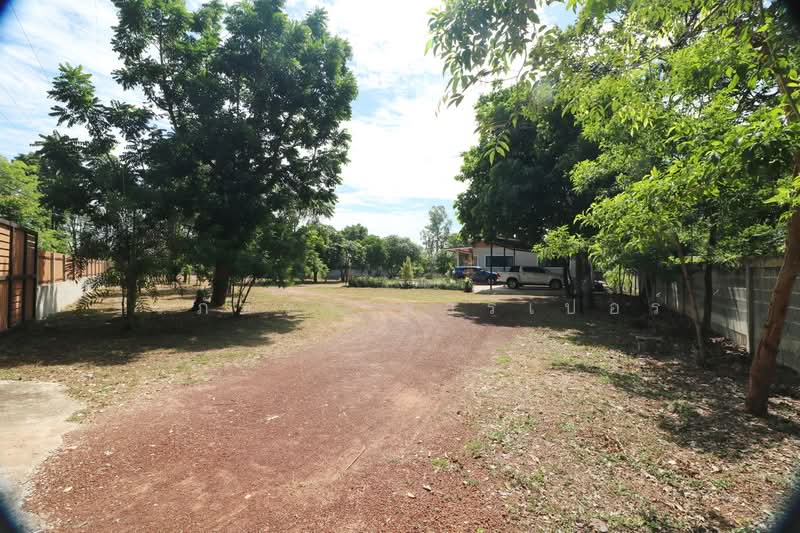 ขายบ้านเดี่ยวสไตล์โมเดิร์น 3ไร่+ ผักตบ หนองหาน อุดรธานี, อุดรธานี, ผักตบ, หนองหาน, อุดรธานี, 200 ตร.ม., บ้านเดี่ยว ขาย, โดย วีรภัทรา ดาร์เปอร์, 500476449 - DDproperty.com