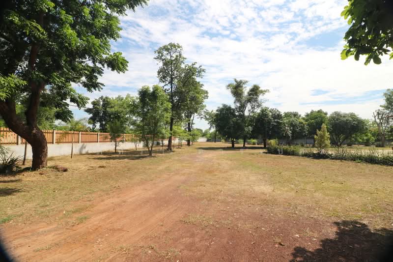 ขายบ้านเดี่ยวสไตล์โมเดิร์น 3ไร่+ ผักตบ หนองหาน อุดรธานี, อุดรธานี, ผักตบ, หนองหาน, อุดรธานี, 200 ตร.ม., บ้านเดี่ยว ขาย, โดย วีรภัทรา ดาร์เปอร์, 500476449 - DDproperty.com