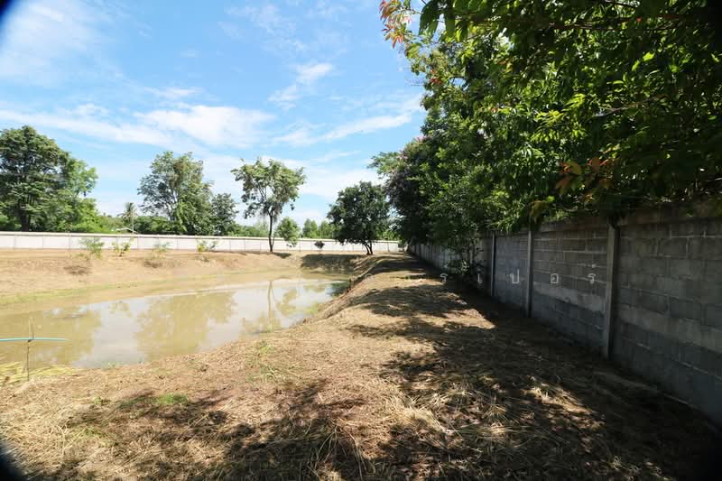 ขายบ้านเดี่ยวสไตล์โมเดิร์น 3ไร่+ ผักตบ หนองหาน อุดรธานี, อุดรธานี, ผักตบ, หนองหาน, อุดรธานี, 200 ตร.ม., บ้านเดี่ยว ขาย, โดย วีรภัทรา ดาร์เปอร์, 500476449 - DDproperty.com