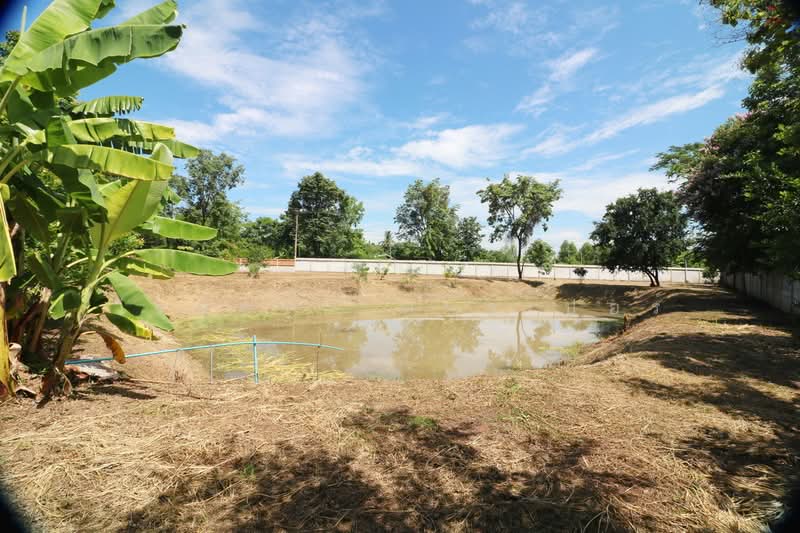 Spacious Modern Home on 3+ Rai Land For Sale, Nong Han, Udon Thani, Udon Thani, Phak Top, Nong Han, Udon Thani, 3 Bedrooms, 200 sqm, Single Detached House For Sale, by วีรภัทรา ดาร์เปอร์, 500476449 - DDproperty.com