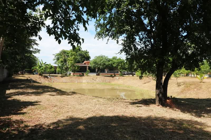 Spacious Modern Home on 3+ Rai Land For Sale, Nong Han, Udon Thani, Udon Thani, Phak Top, Nong Han, Udon Thani, 3 Bedrooms, 200 sqm, Single Detached House For Sale, by วีรภัทรา ดาร์เปอร์, 500476449 - DDproperty.com