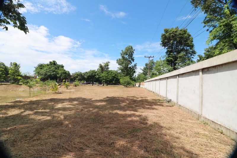 Spacious Modern Home on 3+ Rai Land For Sale, Nong Han, Udon Thani, Udon Thani, Phak Top, Nong Han, Udon Thani, 3 Bedrooms, 200 sqm, Single Detached House For Sale, by วีรภัทรา ดาร์เปอร์, 500476449 - DDproperty.com
