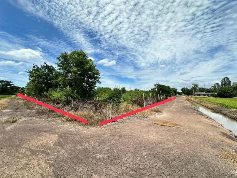ที่ดินเปล่า 3 ไร่ 92 ตร.ว. ที่ดิน ใกล้วัดไผ่โรงวัว นครปฐม, Nakhon Pathom, ถนนทางหลวง3422, Bang Luang, Bang Len, Nakhon Pathom, , 5,168 sqm, Land For Sale, by คุณ ณัฏฐฌาภัส แก้วเมืองน้อย (เฌอ), 500476477 - DDproperty.com