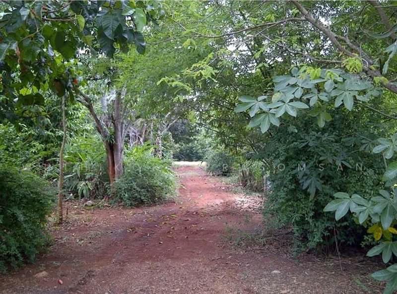 ขายที่ดินทำเลดี ต.หมูสี อ.ปากช่อง จ.นครราชสีมา วิวเขา ใกล้ถนนธนะรัชต์ ไฟฟ้า ประปา, Nakhon Ratchasima, Mu Si, Pak Chong, Nakhon Ratchasima, , 13,320 sqm, Land For Sale, by Wuthikorn Prasomsan, 500476587 - DDproperty.com