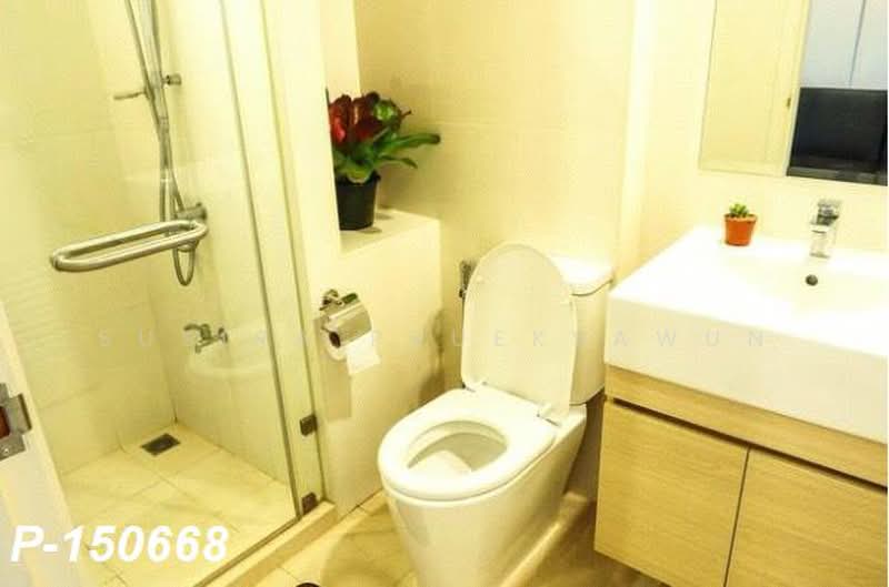 Metro Luxe Rama 4, Bangkok, Ram 4 Road, Phra Kanong, Khlong Toei, Bangkok, 1 Bedroom, 24 sqm, Condo For Rent, by Susira Prueksawun, 500476614 - DDproperty.com
