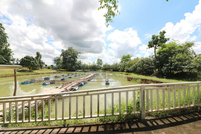 Luxury 4 Brm 5 Bth Home with 6 Rai Land in Wanon Niwat, Sakon Nakhon, Wanon Niwat, Sakon Nakhon, 4 Bedrooms, 215 sqm, Single Detached House For Sale, by วีรภัทรา ดาร์เปอร์, 500476895 - DDproperty.com