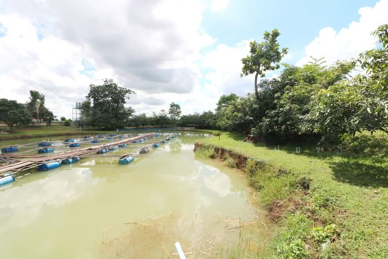 Luxury 4 Brm 5 Bth Home with 6 Rai Land in Wanon Niwat, Sakon Nakhon, Wanon Niwat, Sakon Nakhon, 4 Bedrooms, 215 sqm, Single Detached House For Sale, by วีรภัทรา ดาร์เปอร์, 500476895 - DDproperty.com