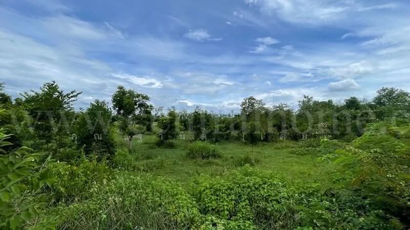 ราชบุรี - ผาปก, Ratchaburi, ไฮเวย์ 4031, Hin Kong, Muang Ratchaburi, Ratchaburi, , 8,084 sqm, Land For Sale, by คุณ ฐานิต (เตย), 500476935 - DDproperty.com