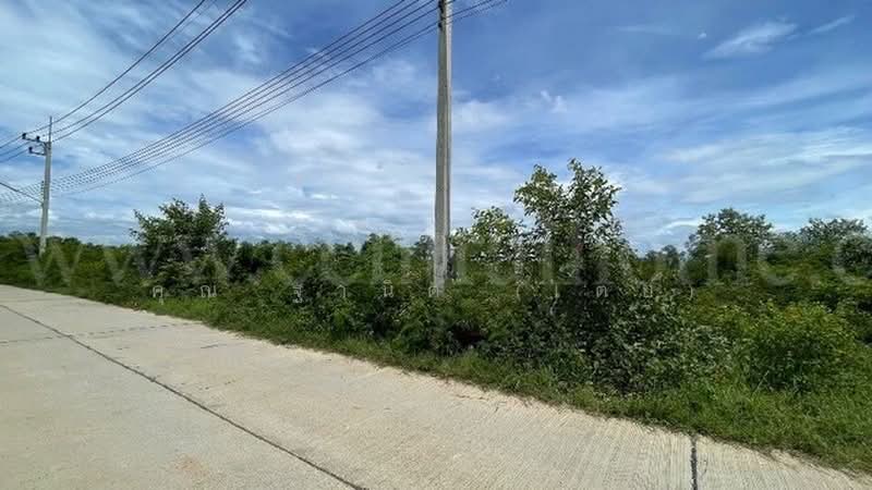 ราชบุรี - ผาปก, Ratchaburi, ไฮเวย์ 4031, Hin Kong, Muang Ratchaburi, Ratchaburi, , 8,084 sqm, Land For Sale, by คุณ ฐานิต (เตย), 500476935 - DDproperty.com