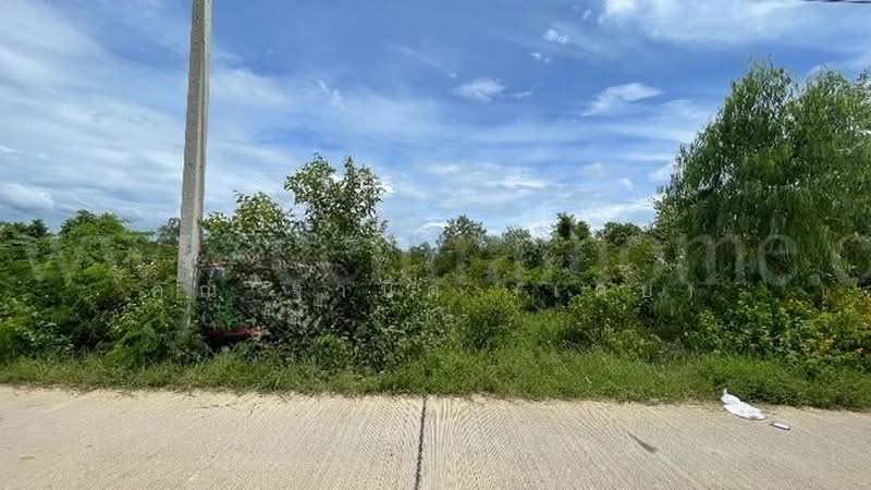 ราชบุรี - ผาปก, Ratchaburi, ไฮเวย์ 4031, Hin Kong, Muang Ratchaburi, Ratchaburi, , 8,084 sqm, Land For Sale, by คุณ ฐานิต (เตย), 500476935 - DDproperty.com