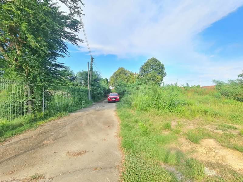 Land for sale on the beachfront in Bang Saray, 1 rai Located near Sukhumvit Road 3 and the beach, Chon Buri (Pattaya), Bang Sa-re, Sattahip, Chon Buri (Pattaya), , 2,056 sqm, Land For Sale, by RICHWELL INTERPLUS, 500476949 - DDproperty.com