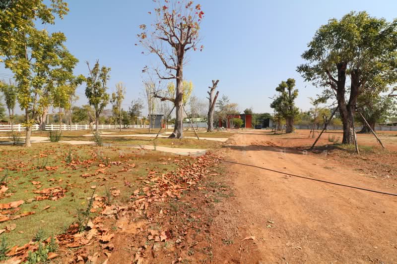 Semi-developed 6+ Rai Resort Land now for Sale in Udon Thani, Udon Thani, Sam Phrao, Muang Udon Thani, Udon Thani, , 9,844 sqm, Land For Sale, by วีรภัทรา ดาร์เปอร์, 500476998 - DDproperty.com