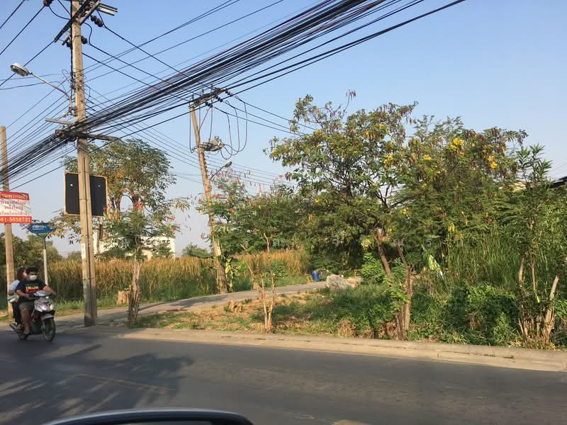 ที่ดินซอยเพชรเกษม 77, กรุงเทพ, เพชรเกษม, หนองแขม, กรุงเทพ, 480 ตร.ม., ที่ดิน ขาย, โดย อัญญาภรณ์ วิษณุรัก, 500477051 - DDproperty.com