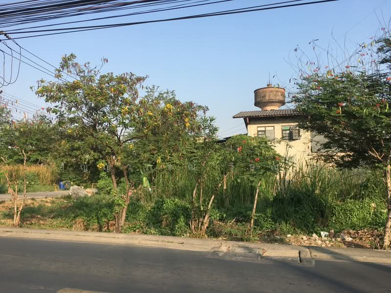 ที่ดินซอยเพชรเกษม 77, Bangkok, เพชรเกษม, Nong Kham, Nong Khaem, Bangkok, , 480 sqm, Land For Sale, by อัญญาภรณ์ วิษณุรัก, 500477051 - DDproperty.com