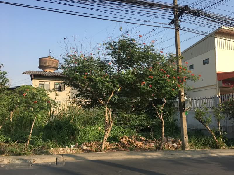 ที่ดินซอยเพชรเกษม 77, กรุงเทพ, เพชรเกษม, หนองแขม, กรุงเทพ, 480 ตร.ม., ที่ดิน ขาย, โดย อัญญาภรณ์ วิษณุรัก, 500477051 - DDproperty.com