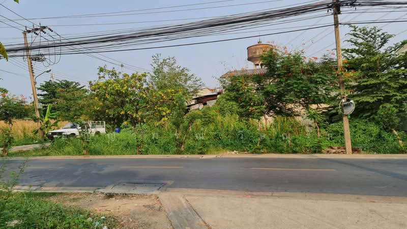 ที่ดินซอยเพชรเกษม 77, กรุงเทพ, เพชรเกษม, หนองแขม, กรุงเทพ, 480 ตร.ม., ที่ดิน ขาย, โดย อัญญาภรณ์ วิษณุรัก, 500477051 - DDproperty.com