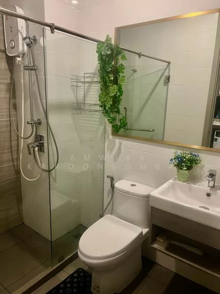 Knightsbridge Prime Onnut : ไนท์บริดจ์ ไพร์ม อ่อนนุช, กรุงเทพ, ซอยอ่อนนุช 1/1 ถนนสุขุมวิท 77, พระโขนงเหนือ, วัฒนา, กรุงเทพ, 23 ตร.ม., คอนโด ให้เช่า, โดย Amwika Karoonsombat, 500477131 - DDproperty.com