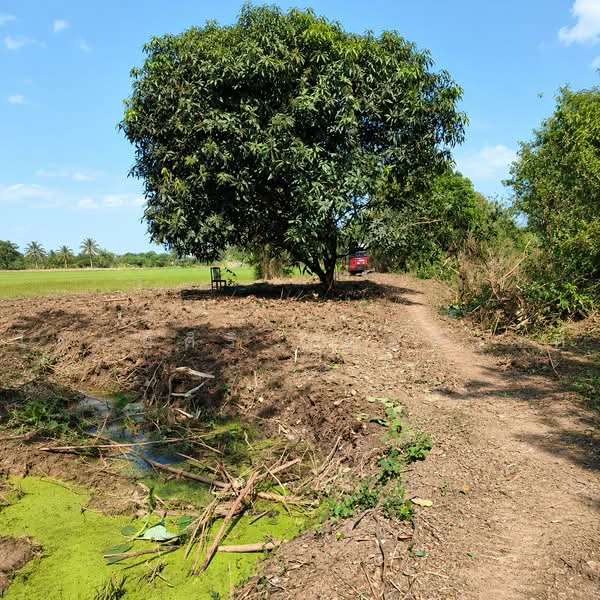 บางโขมด, Saraburi, Bang Khamot, Ban Mo, Saraburi, , 3,904 sqm, Land For Sale, by ไตรยศิริ เตมหิวงศ์, 500477166 - DDproperty.com