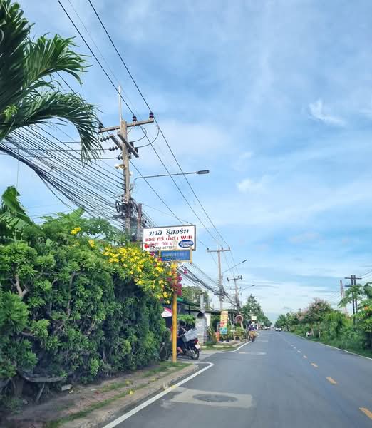 ปากเพรียว, Saraburi, Pak Prieo, Muang Saraburi, Saraburi, , 268 sqm, Land For Sale, by ไตรยศิริ เตมหิวงศ์, 500477211 - DDproperty.com