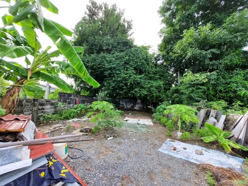 ปากเพรียว, Saraburi, Pak Prieo, Muang Saraburi, Saraburi, , 268 sqm, Land For Sale, by ไตรยศิริ เตมหิวงศ์, 500477211 - DDproperty.com