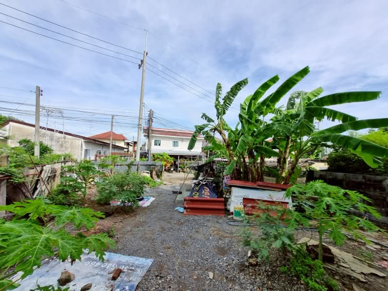 ปากเพรียว, Saraburi, Pak Prieo, Muang Saraburi, Saraburi, , 268 sqm, Land For Sale, by ไตรยศิริ เตมหิวงศ์, 500477211 - DDproperty.com