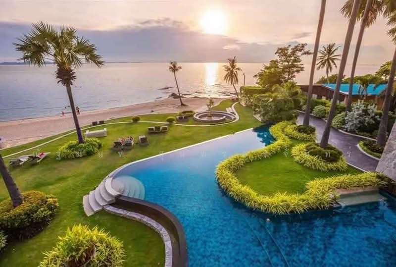 The Palm Wongamat Beach : เดอะ ปาล์ม วงศ์อมาตย์, ชลบุรี, ถนน ซอย นาเกลือ 16, นาเกลือ, บางละมุง, ชลบุรี, 53 ตร.ม., คอนโด ให้เช่า, โดย ณัฐนันท์ สุนทรวรจันทร์, 500477214 - DDproperty.com