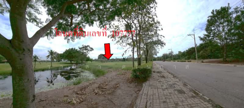 Uniland Golf and Resort, Nakhon Pathom, Wang Yen, Muang Nakhon Pathom, Nakhon Pathom, , 1,265 sqm, Land For Sale, by วานิสา ตโนภาส, 500477242 - DDproperty.com