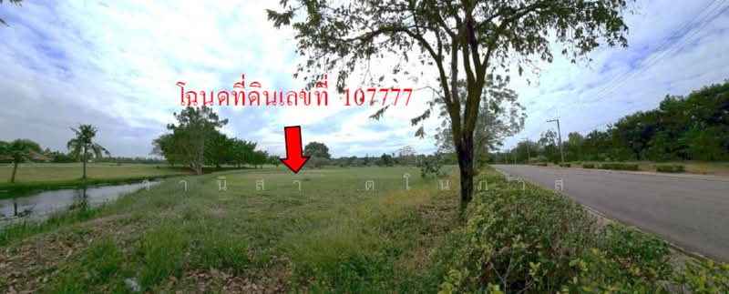 Uniland Golf and Resort, Nakhon Pathom, Wang Yen, Muang Nakhon Pathom, Nakhon Pathom, , 1,265 sqm, Land For Sale, by วานิสา ตโนภาส, 500477242 - DDproperty.com
