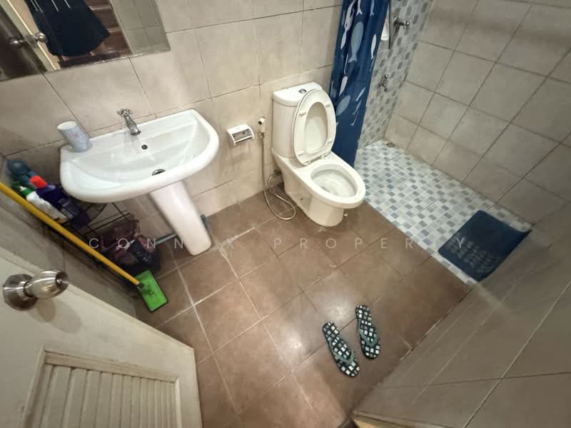 The Nature City Phetkasem 69, Bangkok, เพชรเกษม, Nong Kham, Nong Khaem, Bangkok, 4 Bedrooms, 80 sqm, Townhouse For Sale, by Connex Property, 500477248 - DDproperty.com