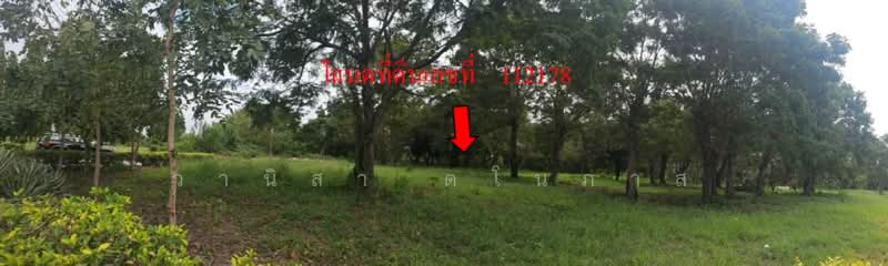 Uniland Golf and Resort, Nakhon Pathom, Wang Yen, Muang Nakhon Pathom, Nakhon Pathom, , 1,593 sqm, Land For Sale, by วานิสา ตโนภาส, 500477294 - DDproperty.com