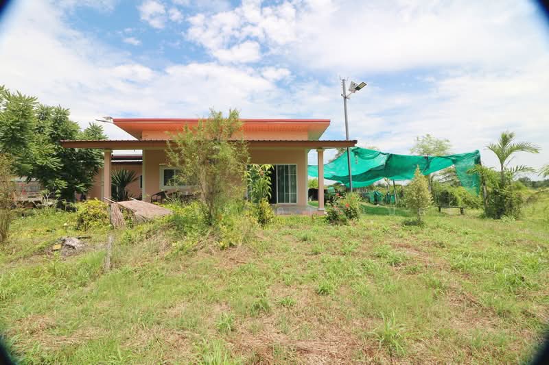 25 Rai Kratom Farm & House for Sale, Nong Bua Lam Phu, Pa Mai Ngam, Muang Nong Bua Lam Phu, Nong Bua Lam Phu, , 40,220 sqm, Land For Sale, by วีรภัทรา ดาร์เปอร์, 500477343 - DDproperty.com