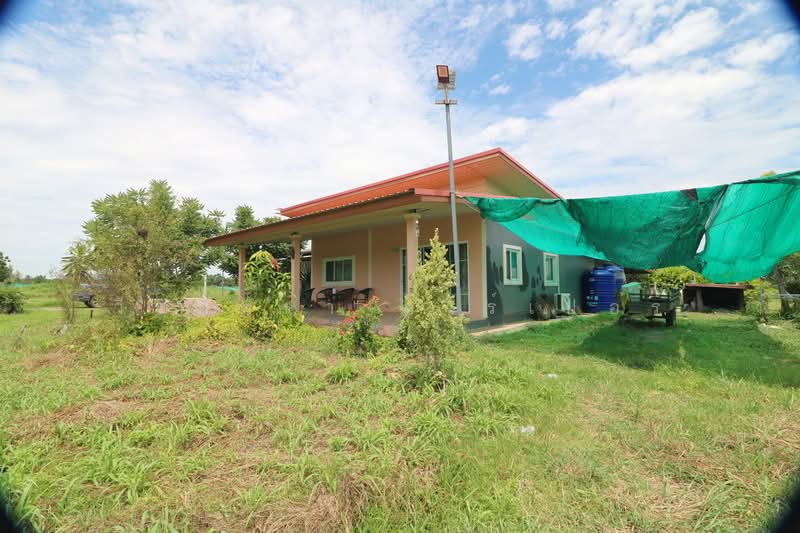 25 Rai Kratom Farm & House for Sale, Nong Bua Lam Phu, Pa Mai Ngam, Muang Nong Bua Lam Phu, Nong Bua Lam Phu, , 40,220 sqm, Land For Sale, by วีรภัทรา ดาร์เปอร์, 500477343 - DDproperty.com