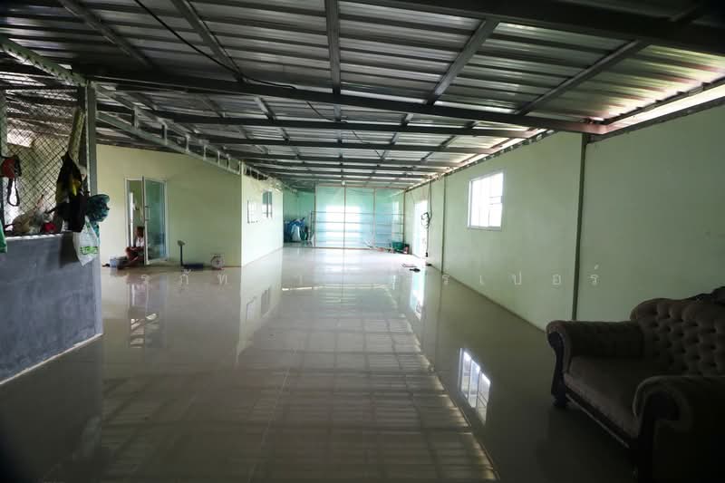 25 Rai Kratom Farm & House for Sale, Nong Bua Lam Phu, Pa Mai Ngam, Muang Nong Bua Lam Phu, Nong Bua Lam Phu, , 40,220 sqm, Land For Sale, by วีรภัทรา ดาร์เปอร์, 500477343 - DDproperty.com