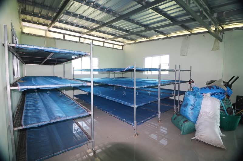 25 Rai Kratom Farm & House for Sale, Nong Bua Lam Phu, Pa Mai Ngam, Muang Nong Bua Lam Phu, Nong Bua Lam Phu, , 40,220 sqm, Land For Sale, by วีรภัทรา ดาร์เปอร์, 500477343 - DDproperty.com