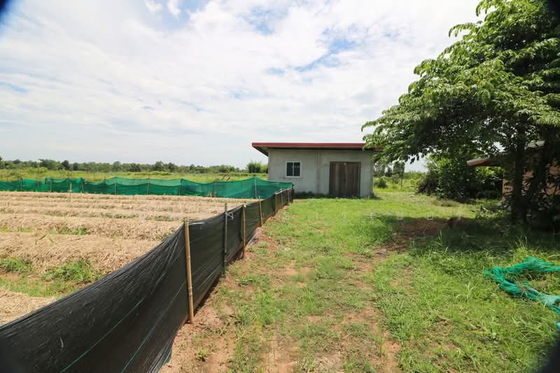 25 Rai Kratom Farm & House for Sale, Nong Bua Lam Phu, Pa Mai Ngam, Muang Nong Bua Lam Phu, Nong Bua Lam Phu, , 40,220 sqm, Land For Sale, by วีรภัทรา ดาร์เปอร์, 500477343 - DDproperty.com