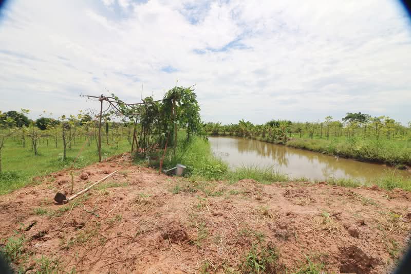 25 Rai Kratom Farm & House for Sale, Nong Bua Lam Phu, Pa Mai Ngam, Muang Nong Bua Lam Phu, Nong Bua Lam Phu, , 40,220 sqm, Land For Sale, by วีรภัทรา ดาร์เปอร์, 500477343 - DDproperty.com