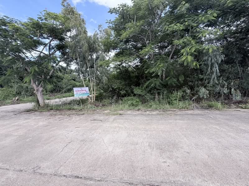 ทับใต้, Prachuap Khiri Khan, Thap Tai, Hua Hin, Prachuap Khiri Khan, , 400 sqm, Land For Sale, by ศริญาภัสร์ กิตติสิทธิ์ภาคิน, 500477449 - DDproperty.com