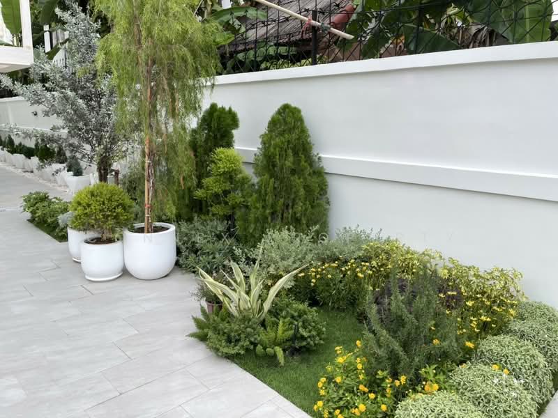Single Detached House in Chokchai 4 on a Large 100 sq.wah Land Plot, bangkok, โชคชัย 4, Lat Phrao, Bangkok, 4 Bedrooms, 320 sqm, Single Detached House For Sale, by Connex Property, 500477473 - DDproperty.com
