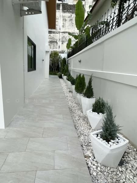 Single Detached House in Chokchai 4 on a Large 100 sq.wah Land Plot, bangkok, โชคชัย 4, Lat Phrao, Bangkok, 4 Bedrooms, 320 sqm, Single Detached House For Sale, by Connex Property, 500477473 - DDproperty.com