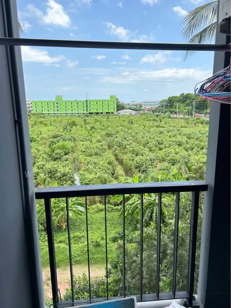 Unio Rama 2-Thakham, Bangkok, 45 Soi Thakham, Rama 2 Road, Samae Dam, Bang Khun Thian, Bangkok, Studio, 27 sqm, Condo For Sale, by Supitcha Wongisaraseri, 500477494 - DDproperty.com