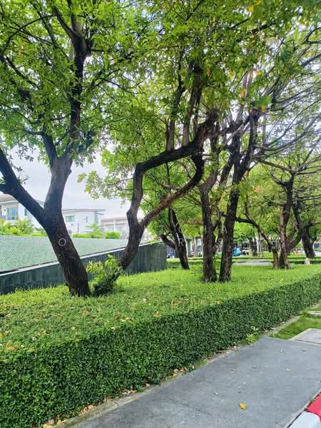 undefined, Bangkok, Hua Mak, Bang Kapi, Bangkok, 3 Bedrooms, 68 sqm, Townhouse For Sale, by Supitcha Wongisaraseri, 500477520 - DDproperty.com